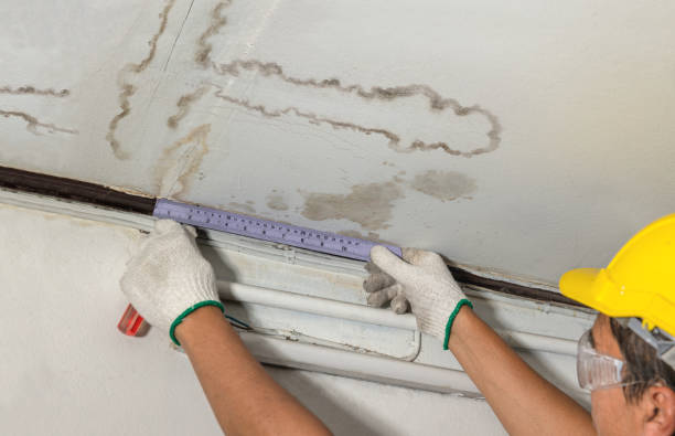 Reliable Mold Remediation contractor in Vader, WA by Water Damage Irwin